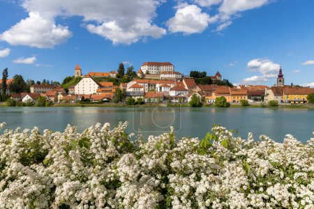 Beautiful view of Ptuj Castle and the old town on the Drava River. Slovenian famous travel destination.