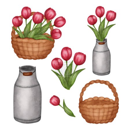 Spring set tulips, red flowers in basket, watering can isolated on white background. Vector illustration