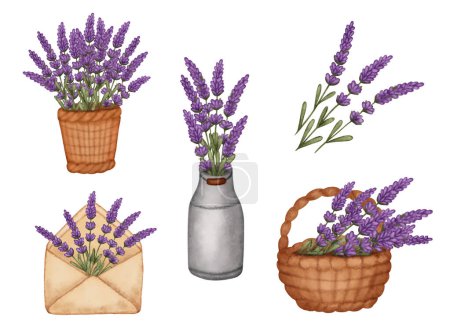Set watercolor lavender bouquet in bucket, basket, watering can and paper envelope. Vector illustration
