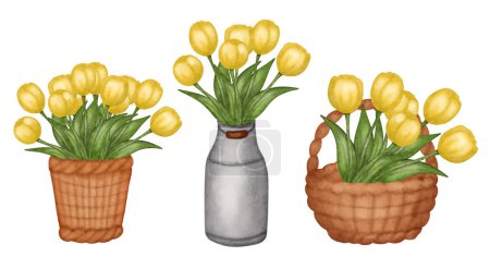 Watercolor set of bouquets of spring flowers, yellow tulips wicker basket, garden watering can. Vector illustration