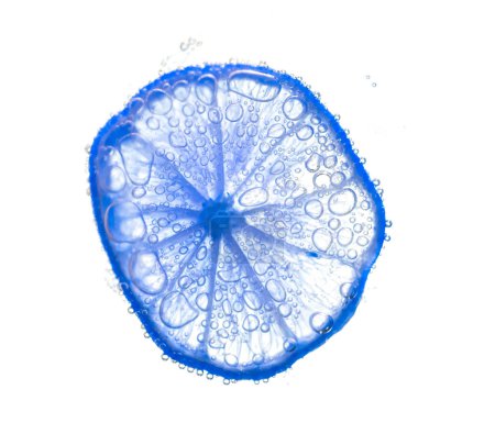 Foto de Jugosas rodajas de lima con burbujas bajo el agua aisladas sobre fondo blanco. Azul limón rebanadas patrón texturizado fondo. - Imagen libre de derechos