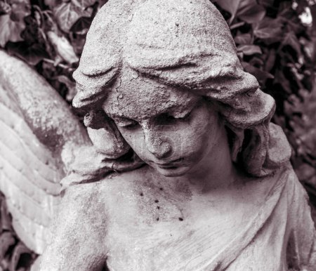 Hermosa cara de ángel de una mujer. Misericordia y paz. (monumento del siglo XIX por un autor desconocido)