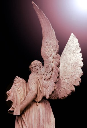 Un ange aux grandes ailes est photographié par derrière