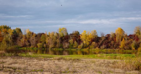 Téléchargez les photos : Paysage d'automne au bord de la rivière. Arbres d'automne colorés. Rivière Narew en Pologne - en image libre de droit