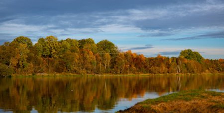 Téléchargez les photos : Paysage d'automne au bord de la rivière. Arbres d'automne colorés. Rivière Narew en Pologne - en image libre de droit