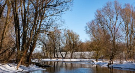 Téléchargez les photos : Paysage hivernal. Rivière Narew en Pologne - en image libre de droit