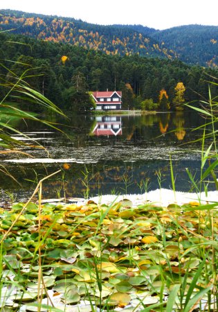 Téléchargez les photos : Arbres verts entourant le lac en automne avec la maison du lac et son reflet dans le lac - en image libre de droit