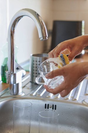 Téléchargez les photos : Mains frotter tasse en verre avec éponge et détergent dans la cuisine - en image libre de droit