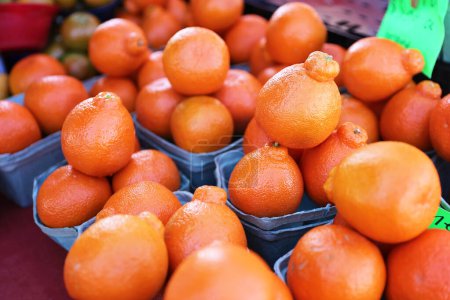 Stacks of fresh, ripe Tangelo Oranges are displayed for sale at an outdoor farmers market.