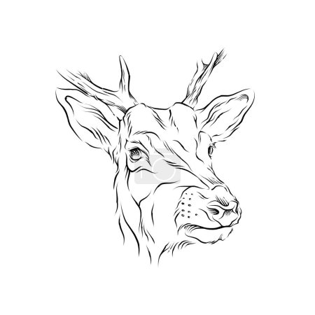 Illustration for Deer Head hand drawn illustration - Royalty Free Image