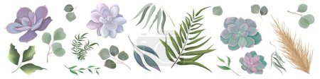 Téléchargez les illustrations : Mélange d'herbes et de plantes collection vectorielle. Eucalyptus juteux, bois mort, plantes vertes et feuilles. Tous les éléments sont isolés. Succulent juteux - en licence libre de droit
