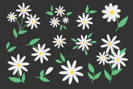 Téléchargez les photos : Ensemble floral vectoriel. Mignonnes illustrations de marguerites - en image libre de droit