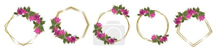 Illustration for Vector set of gold frames of different shapes and pink bougainvillea. Frames on white background for holiday design. . Vector illustration - Royalty Free Image