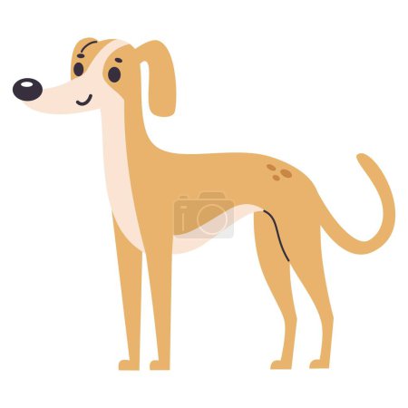 Ilustración de Lindo perro de caza, galgo. Ilustración vectorial plana sobre fondo blanco en estilo infantil. Ilustración vectorial - Imagen libre de derechos