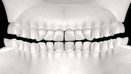 Foto de 3D human jaw from the inside. 3D render of human teeth. Dental illustration - Imagen libre de derechos