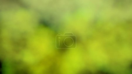 Foto de Yellow-green smoke on a black background. Green smoke background. Colored steam. Poisonous vapors. Clean air, science concept.  3D illustration. - Imagen libre de derechos