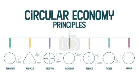 Ilustración de 7R concepto de principios de economía circular para la sostenibilidad económica de la producción y el consumo tiene 7 pasos para analizar tales como reducir, reciclar, recuperar, reparar, rediseñar, reutilizar y renovar. Vector. - Imagen libre de derechos
