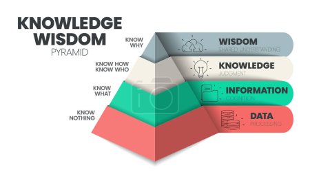 Knowledge Wisdom hierarchy infographic template with icon has Wisdom (Shared understanding), Knowledge (Judgment), Information (Cognition), Data (Processing). DIKW knowledge management pyramid vector.