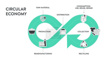 Infografik zur Kreislaufwirtschaft 6 Schritte zur Analyse wie Herstellung, Verpackung und Vertrieb, Benutzer, Lebensende, Recycling und Rohstoffproduktion. Ökologie und Umweltprinzip.