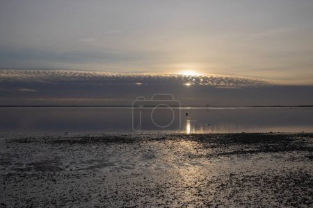 Wnter sunset on Chalkwell beach, near Southend-on-Sea, Essex, England, United Kingdom