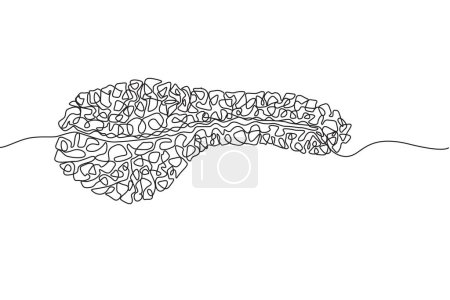 Illustration for Pancreas Hand drawn icon continuous line drawing. Human organs Creative abstract art background Trendy concept One single line design. Outline simple image black and white color Vector illustration - Royalty Free Image