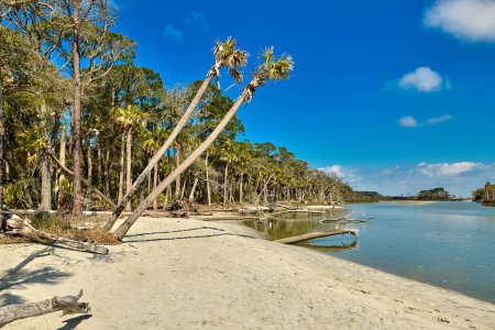 The lagoon area at Hunting Island State Park, SC.