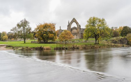 Foto de Con vistas al rápido movimiento del río Wharfe hacia la Abadía de Bolton en Yorkshire en la foto en octubre de 2022. Los famosos escalones están sumergidos en las aguas más profundas del otoño. - Imagen libre de derechos