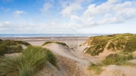 Téléchargez les photos : La lumière du soleil d'hiver illumine l'herbe de marram et les dunes de sable qui surplombent la plage de Formby entre Liverpool et Southport. - en image libre de droit