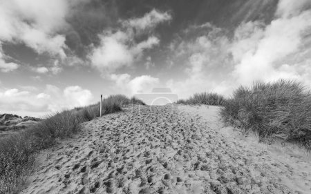 Téléchargez les photos : Une image en noir et blanc des pas dans les dunes escarpées de Formby menant à la plage. - en image libre de droit