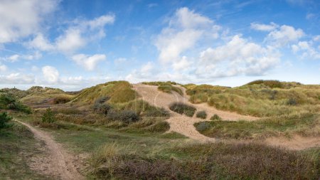 Téléchargez les photos : Un panorama multi-images des marches sur les dunes de sable entre Formby Pine Woods et Formby beach sur la côte de Sefton. - en image libre de droit