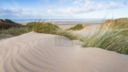 Téléchargez les photos : Beaux motifs photographiés sur les dunes de sable entre l'herbe de marram au-dessus de la plage de Formby. - en image libre de droit