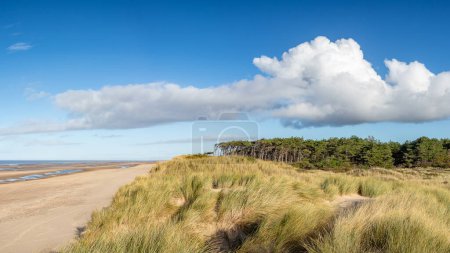 Téléchargez les photos : Un panorama multi-images montrant la plage vide, les dunes de sable et le début des pinèdes à Formby sur la côte de Sefton. - en image libre de droit