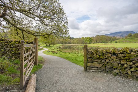 Un sentier serpente à travers une porte et serpente autour d'une colline sur le pont Elterwater et Skelwith marche au c?ur du Lake District.