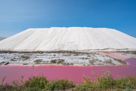 Rosa Teiche in künstlichen Salzverdunstungsbecken in der Camargue, Salin de Guiraud, Frankreich. Hochwertiges Foto