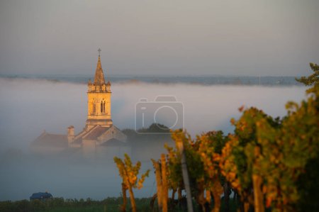 Foto de Puesta de sol paisaje y smog en el viñedo de Burdeos, Loupiac iglesia, Francia, Europa, foto de alta calidad - Imagen libre de derechos