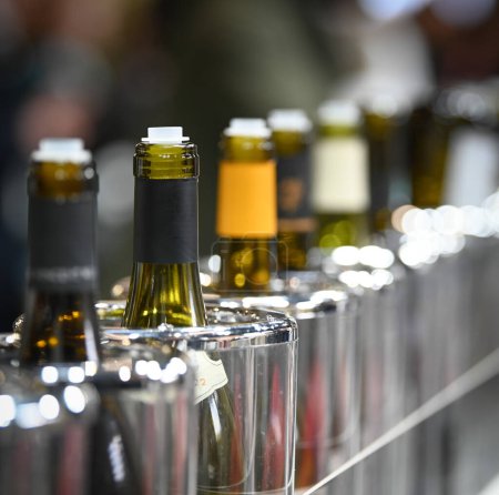 Weinprobe, Reihe von Weinflaschen im Weinkeller Hochwertiges Foto