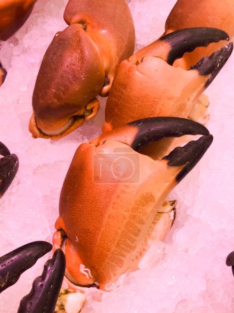 Garras de cangrejo, Cangrejos cocidos en venta en el supermercado, Mariscos, Foto de alta calidad