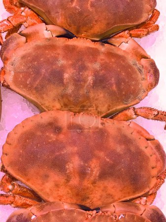 Gekochte Krabben zum Verkauf im Supermarkt, Meeresfrüchte, Hochwertiges Foto