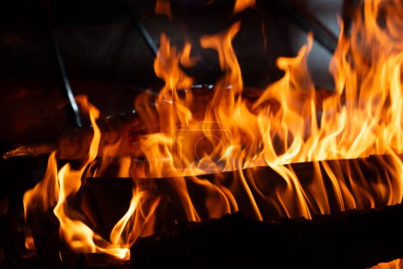 Close up shot of burning firewood in the fireplace. High quality photo