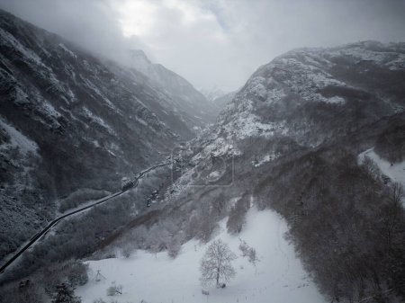 Schneebedecktes Wetter im Bergwald. Kaltes Wetter, Hochwertiges Foto