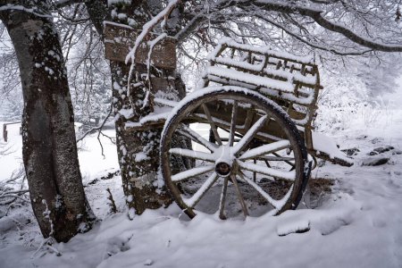 Foto de Carruaje de madera vintage bajo la nieve en el bosque, foto de alta calidad - Imagen libre de derechos