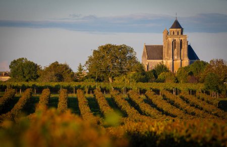 Frankreich, Charente-Martime, Lonzac-Kirche, in den Weinbergen von Cognac, Petite Champagne, Hochwertiges Foto