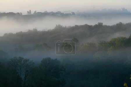 Aerial view of Bordeaux vineyard at sunrise spring under fog, Rions, Gironde, France. High quality photo