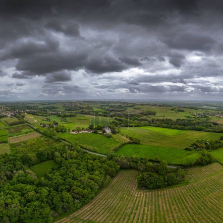Vue aérienne du vignoble bordelais au printemps sous un ciel nuageux, Rions, Gironde, France. Photo de haute qualité