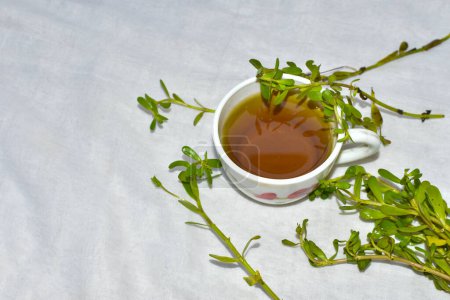 Photo for Herbal healing tea from Brahmi or Bacopa monnieri on a white background. A high angle shot with Selective focus. - Royalty Free Image