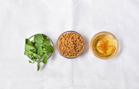 Draufsicht auf Bockshornkleeblätter mit Samen und Öl auf weißem Hintergrund. Konzept der indischen ayurvedischen Medizin für Blutsauger und Haarausfall-Kontrolle.