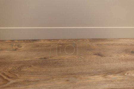 Line of junction of laminate and plinth. Apartment interior.