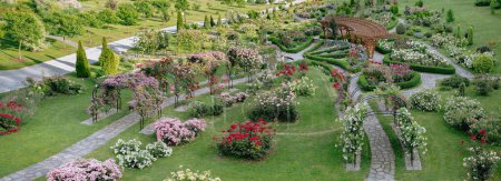 Photo for Panoramic photo. Landscape design of a rose garden on the territory of the park - Royalty Free Image