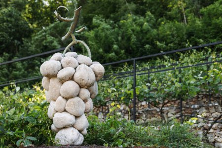 Téléchargez les photos : Sculpture of grapes made of stone on the background of a vineyard. - en image libre de droit