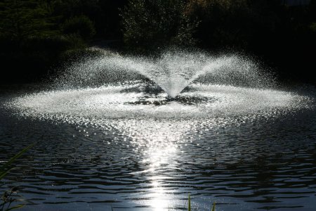 Fuente en el lago en el diseño del paisaje